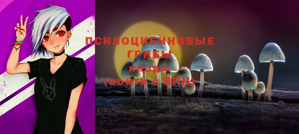 винт Михайлов